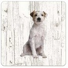 Creatief Art Hond Jack Russel Ruwharig | Houten Onderzetters 6 Stuks