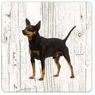 Creatief Art Hond Dwergpincher | Houten Onderzetters 6 Stuks