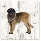 Creatief Art Hond Leonberger | Houten Onderzetters 6 Stuks