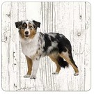 Creatief Art Hond Bordercollie Tricolor | Houten Onderzetters 6 Stuks