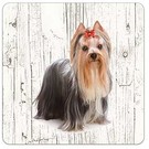 Creatief Art Hond York | Houten Onderzetters 6 Stuks