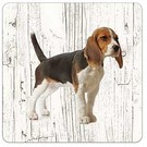 Creatief Art Hond Beagle | Houten Onderzetters 6 Stuks