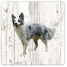 Creatief Art Hond Bordercollie | Houten Onderzetters 6 Stuks