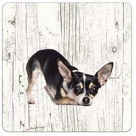 Creatief Art Hond Chihuahua | Houten Onderzetters 6 Stuks