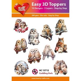 doodey Einfache 3D-Topper-Eulen