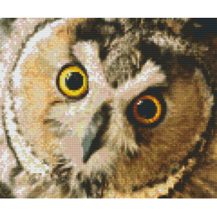 Pixel Hobby Pixelhobby 6 Basisplaten - Uil 01