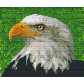 Pixel Hobby Pixelhobby 6 Basisplaten - Arend