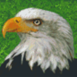 Pixel Hobby Pixelhobby 6 Basisplaten - Arend