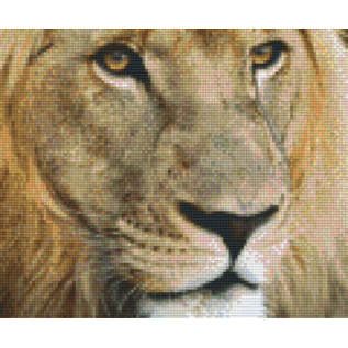 Pixel Hobby Pixelhobby 6 Grundplatten - Löwe Afrika