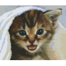 Pixel Hobby Pixelhobby 6 Basisplaten - Kitten onder deken