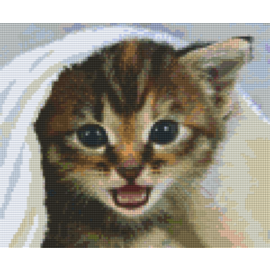 Pixel Hobby Pixelhobby 6 Basisplaten - Kitten onder deken