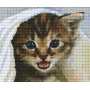 Pixel Hobby Plaques de base Pixelhobby 6 - Chaton sous couverture