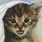 Pixel Hobby Pixelhobby 6 Basisplaten - Kitten onder deken