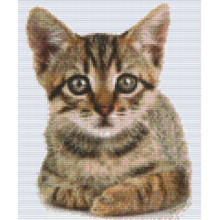 Pixel Hobby Pixelhobby 6 Basisplaten - Kitten 02