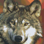 Pixel Hobby Pixelhobby 6 plaques de base - Loup 02