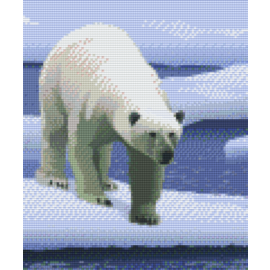 Pixel Hobby Pixelhobby 6 Basisplaten - Ijsbeer in de sneeuw