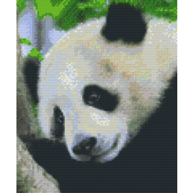 Pixel Hobby Pixelhobby 6 Grundplatten - Pandabär im Baum