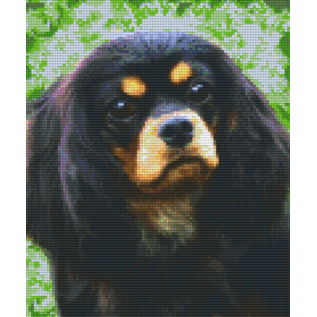 Pixel Hobby Pixelhobby 6 Grundplatten - Hund King Charles Schwarz Braun