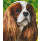 Pixel Hobby Pixelhobby 6 Basisplaten - Hond King Charles Bruin wit