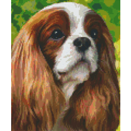 Pixel Hobby Pixelhobby 6 Basisplaten - Hond King Charles Bruin wit