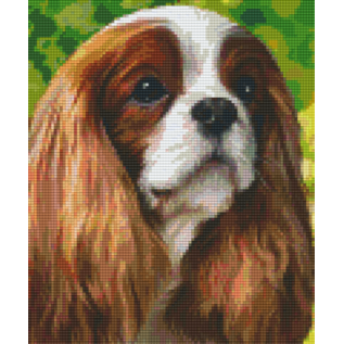 Pixel Hobby Pixelhobby 6 plaques de base - Chien King Charles Brown blanc