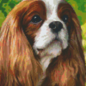 Pixel Hobby Pixelhobby 6 plaques de base - Chien King Charles Brown blanc