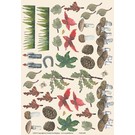 Creatief Art FA65-004