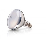 Lamp 250W wit Philips