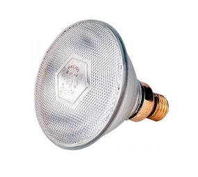 Philips Warmtelamp EB 175W - Wit Philips Warmtelamp EB 175W - Wit