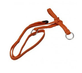 Halster koe nylon rood gevlochten Halster koe nylon rood gevlochten