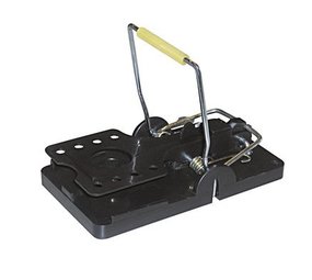 Knock Off Muizenval Snapper Muis Knock Off Muizenval Snapper Muis