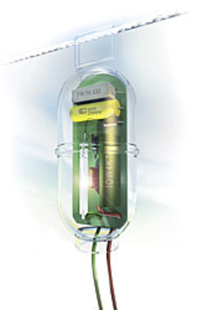 Patura Flitslicht Patura Flitslicht