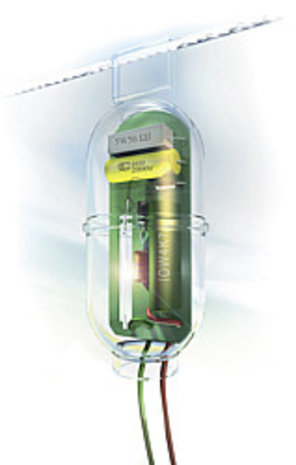 Patura Flitslicht Patura Flitslicht