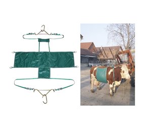 Koelift Compleet Daisy