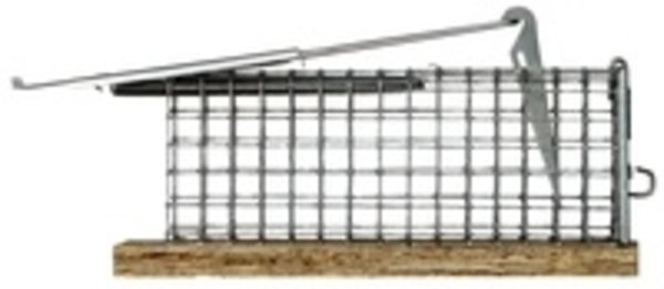 Agridiscounter Muizenval Inlopend Levend 1-Deurs Agridiscounter Muizenval Inlopend Levend 1-Deurs