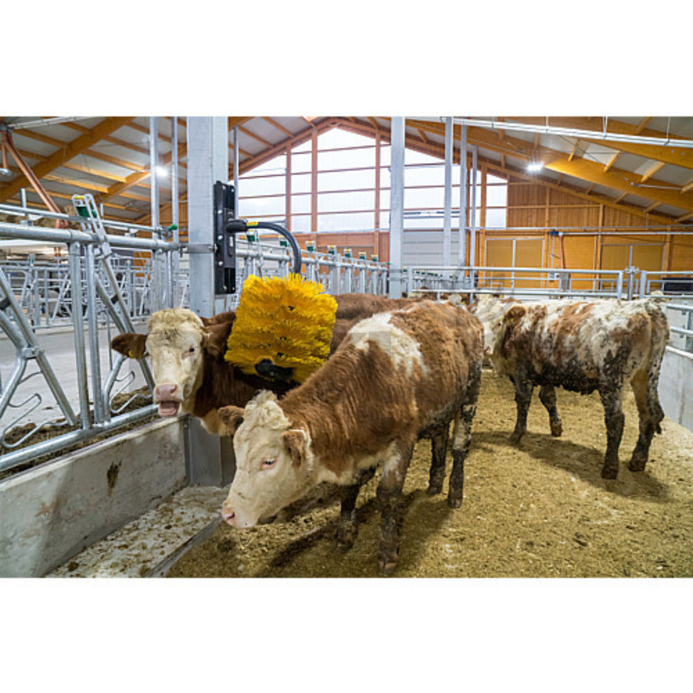 PATURA pendelborstel MIDI PATURA pendelborstel MIDI