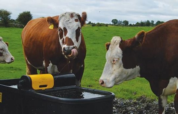 JFC JFC dubbele  "fast fill" 400 liter drinkbak JFC JFC dubbele  "fast fill" 400 liter drinkbak