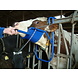 Agridiscounter Kopheffer Vink Agridiscounter Kopheffer Vink