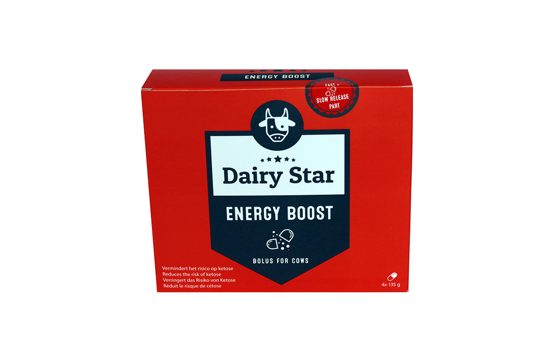 Energy Boost bolus 4 stuks