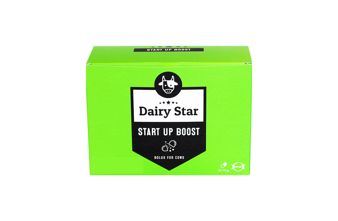DairyStar Start Up Boost Bolus 8X70 gram