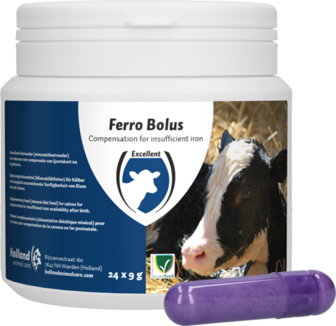 Excellent Ferro Bolus 24 stuks Excellent Ferro Bolus 24 stuks