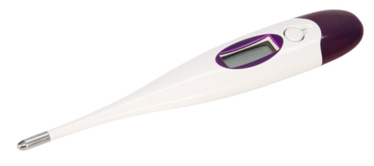 Kerbl Thermometer Vee (digitaal) Kerbl Thermometer Vee (digitaal)