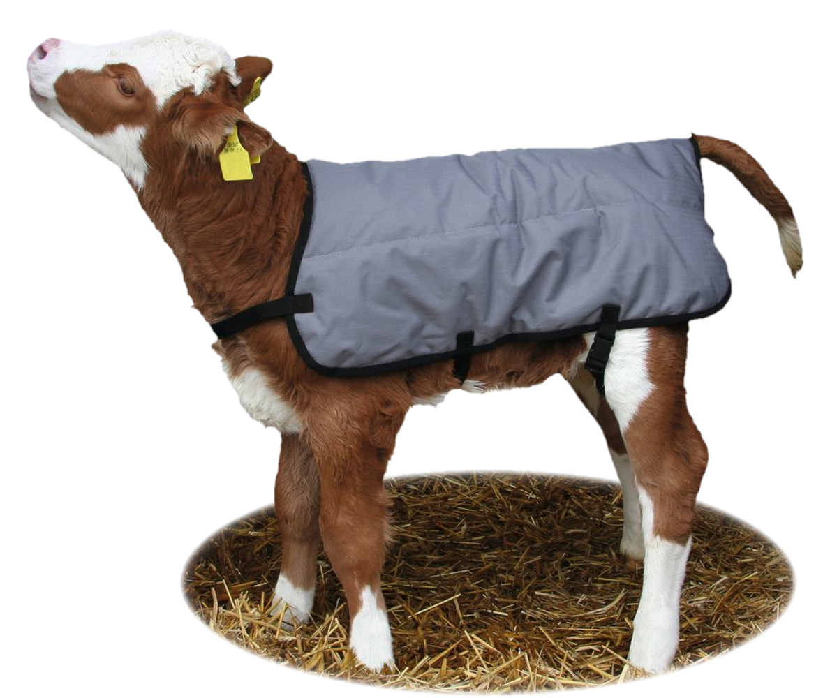 Kerbl Kalverdek grijs 70 cm