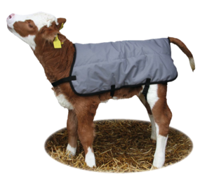 Kerbl Kalverdek grijs 70 cm