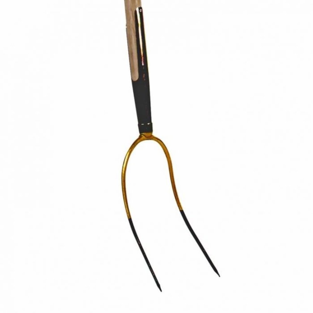 Talen Tools Hooivork 2-tands 5V Talen Tools Hooivork 2-tands 5V