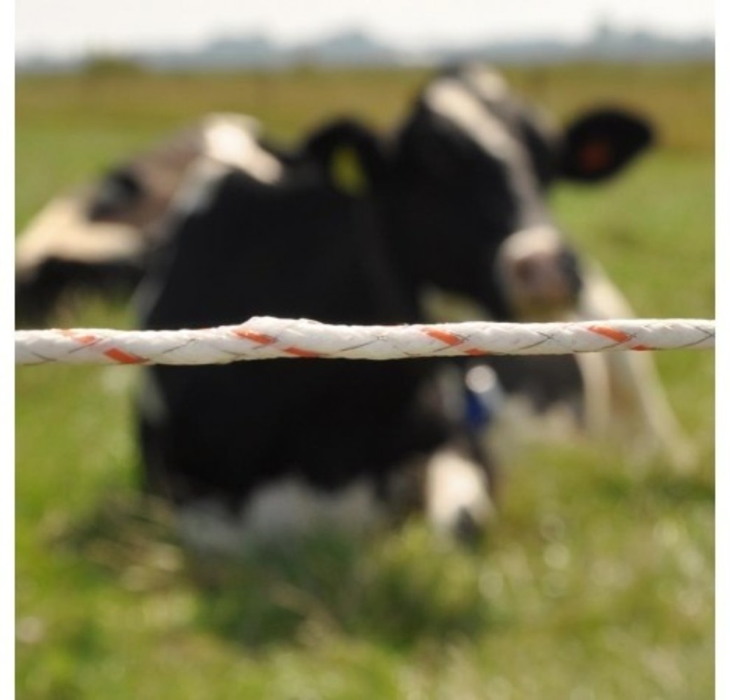 Gallagher Turboline Vidoflex 9 Plus Schrikdraad (2x 1000 m) Gallagher Turboline Vidoflex 9 Plus Schrikdraad (2x 1000 m)