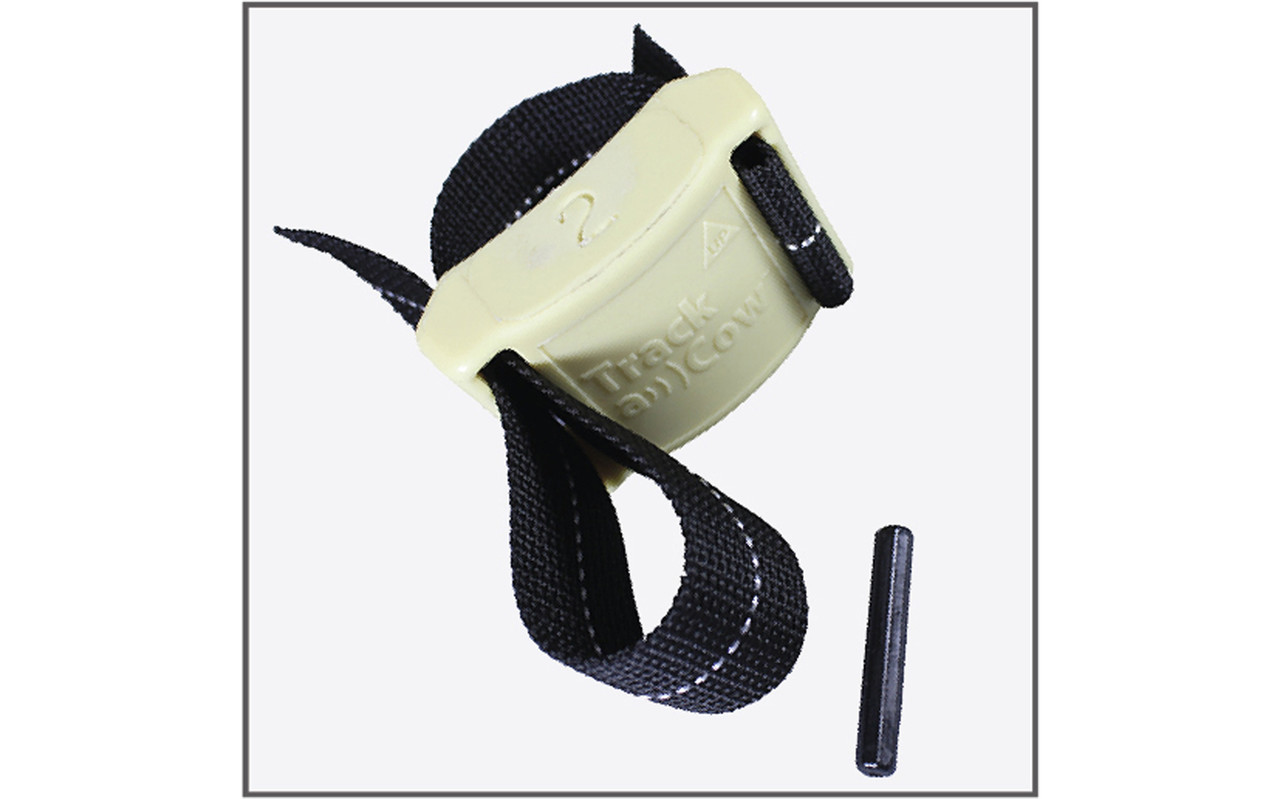 Akroh Enkelband 38 mm