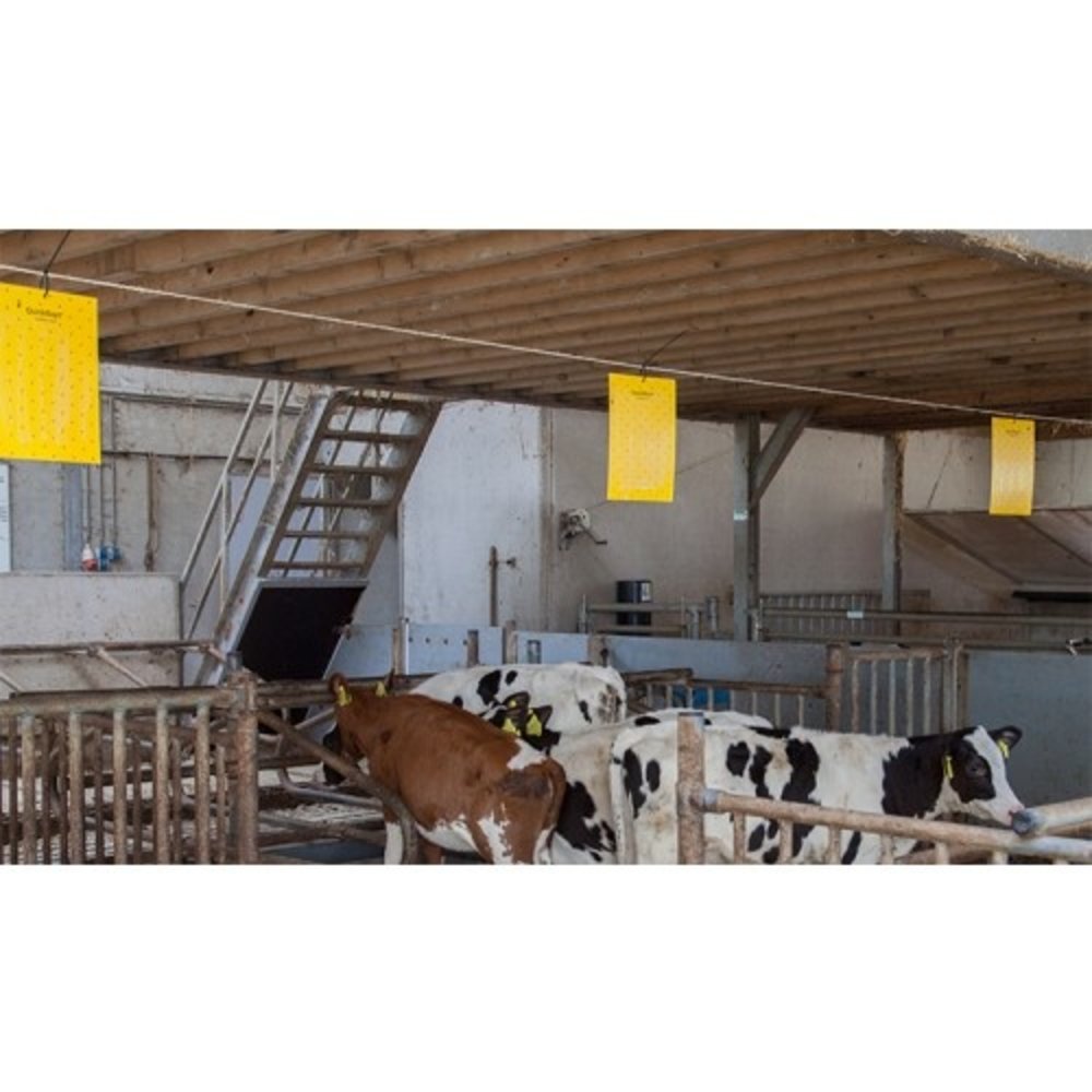 Bayer Quick Bayt WG 750 gram Bayer Quick Bayt WG 750 gram