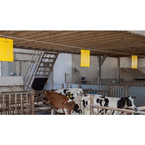 Bayer Quick Bayt WG 750 gram Bayer Quick Bayt WG 750 gram