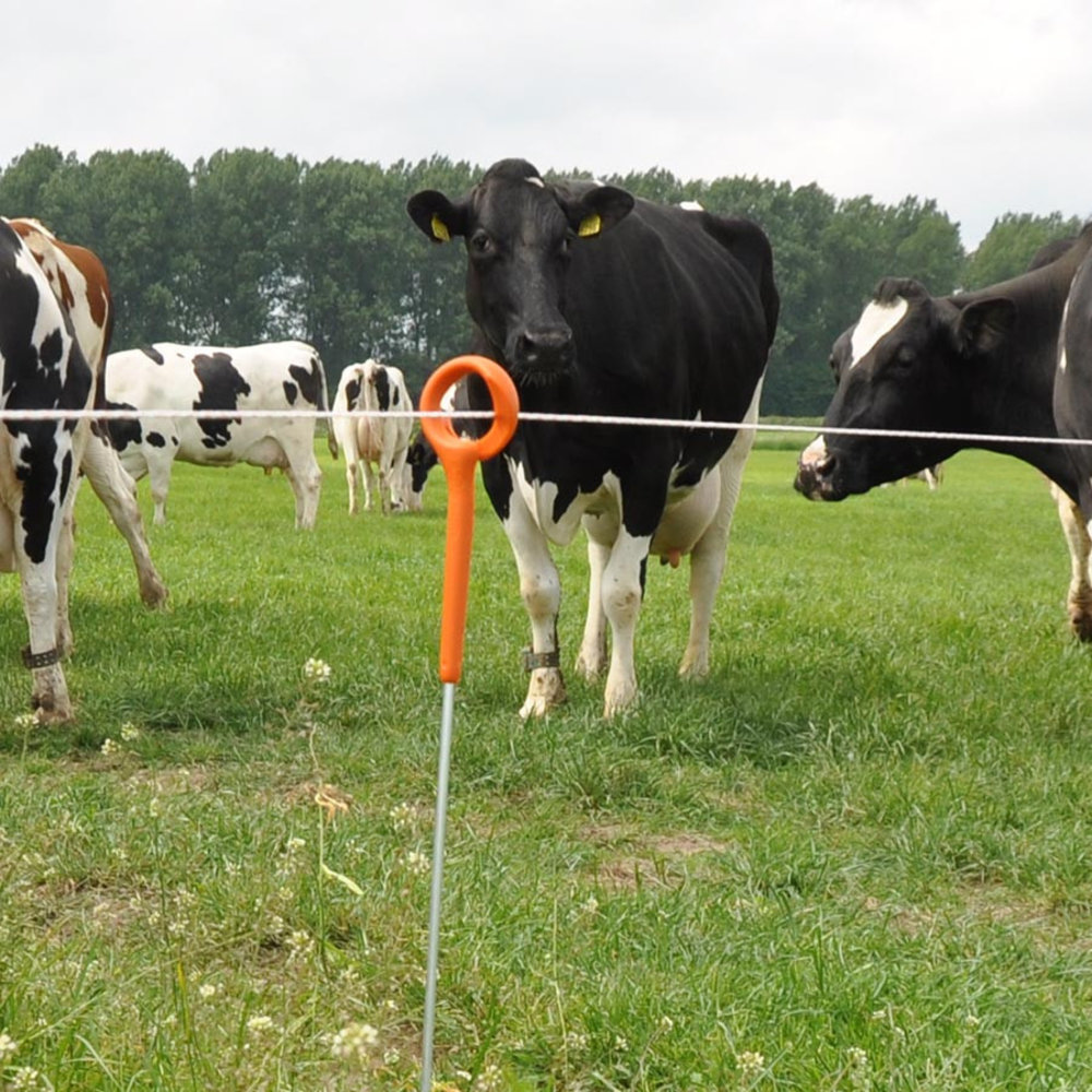 Gallagher Ring Top Paal 1 meter 10 stuks Gallagher Ring Top Paal 1 meter 10 stuks